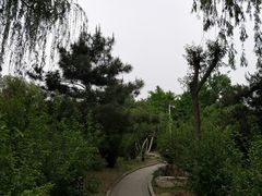 -燕郊植物园