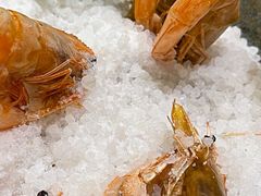 -旺顺阁海鲜广场(亚运村店)