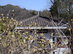 -无锡梅园公园