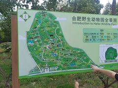 -合肥野生动物园