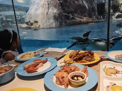 -帝企鹅自助餐厅•儿童岛•真企鹅(长隆企鹅酒店)