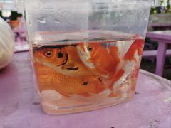 -晶宝温泉农庄