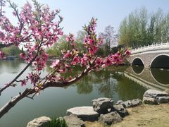 -大兴滨河森林公园