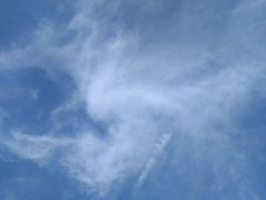 -比尔斯健康烤肉自助餐厅