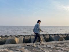 -碧海金沙