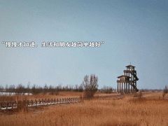 -野鸭湖国家湿地公园