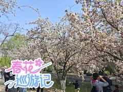 -元大都城垣遗址公园