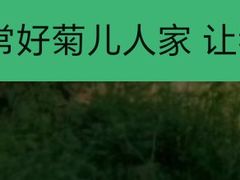 -菊儿人家·北京胡同菜(南锣鼓巷店)
