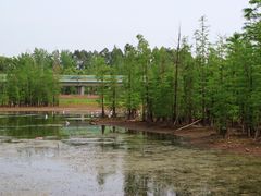 -白鹭湾湿地公园