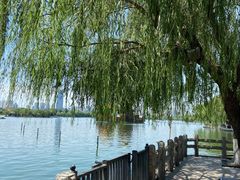 -济南大明湖景区