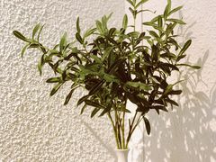餐具摆设-Cafe on warm(丹霞店)