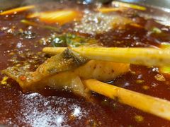 -肖肖酸萝卜鱼火锅(总店)