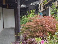 -巡塘古镇