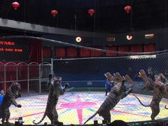 -西安秦岭野生动物园