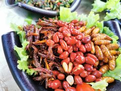 -品德宏·孔雀宴的发源地(金塔园店)