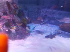 -沈阳海洋探索中心