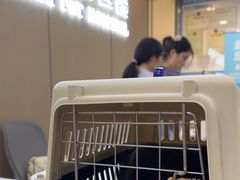 -贝康宠物医院·犬猫全科·小动物特色诊疗中心(东环路店)
