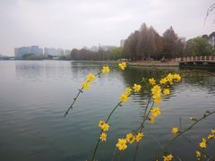 -石湖景区