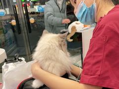 -纳吉亚猫专科动物医院·北北分院