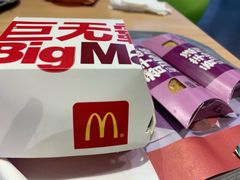-麦当劳(郑州东高铁站店)