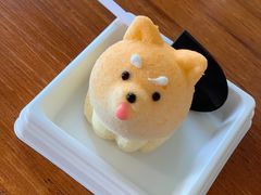 -柴犬高等学院·狗咖·柴犬售卖·宠物训练