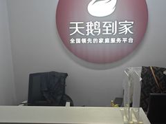 -天鹅到家·保姆月嫂育儿嫂(南开店)