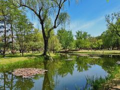 -承德避暑山庄景区