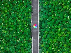 -荷花荡