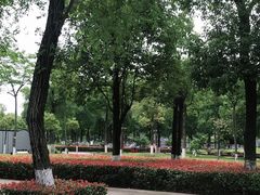 -眉山湿地公园(东坡区)