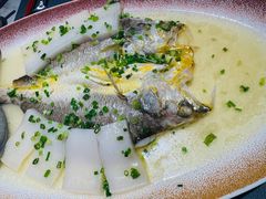 葱油蒸深海大黄鱼配手打年糕-曼格纳·曼芯馆(杨浦店)
