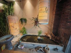 -威思丽高温瑜伽会馆