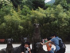 -西安秦岭野生动物园