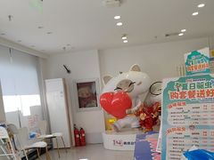 -喜多萌中农锦绣动物医院24H·猫科·牙科MRI·CT