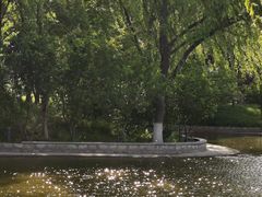 -石家庄市植物园
