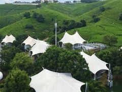 -帐篷客·溪龙茶谷度假酒店