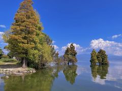 -大理洱海