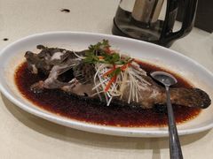 清蒸青石斑-红杏酒家(凤凰店)