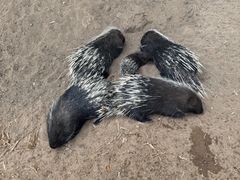 -鄂尔多斯野生动物园