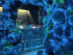 -陕西自然博物馆