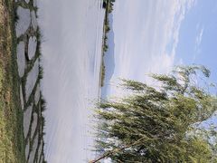 -洱海月湿地公园