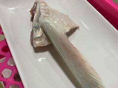 -中山脆肉鲩(新圳东路店)