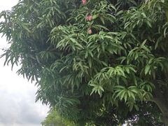 -滨海公园