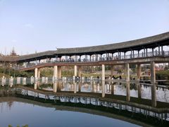 -眉山湿地公园(东坡区)