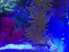 -上海海洋水族馆