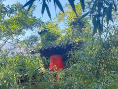 -老张烤羊(王哥庄店)