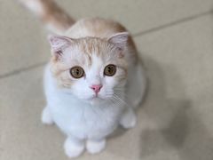 -藏猫猫咖啡主题馆(中央大道店)