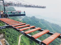 -梦幻奥陶纪景区