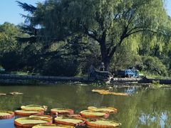 -国家植物园南园