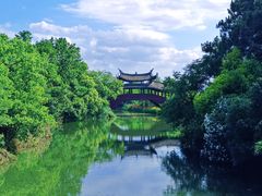 -三垟湿地