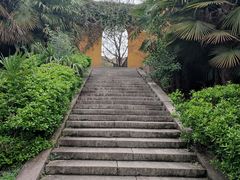 -苏州上方山国家森林公园